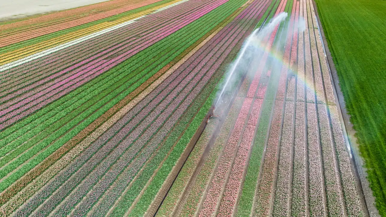 Tarlada Su Kuyusu Açma