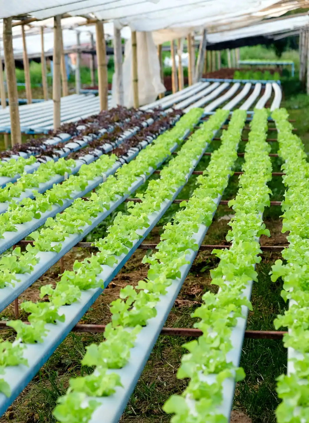 Tarımsal Su Sondajı